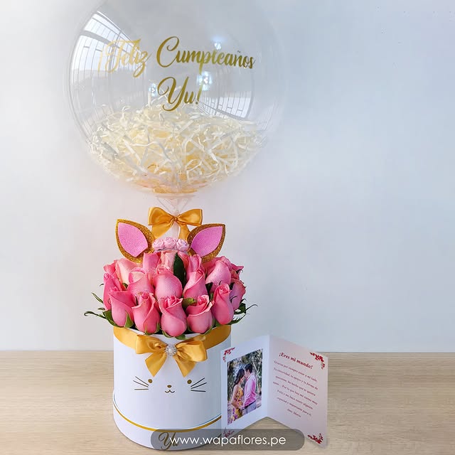 BOX GATITO GRANDE BURBUJA