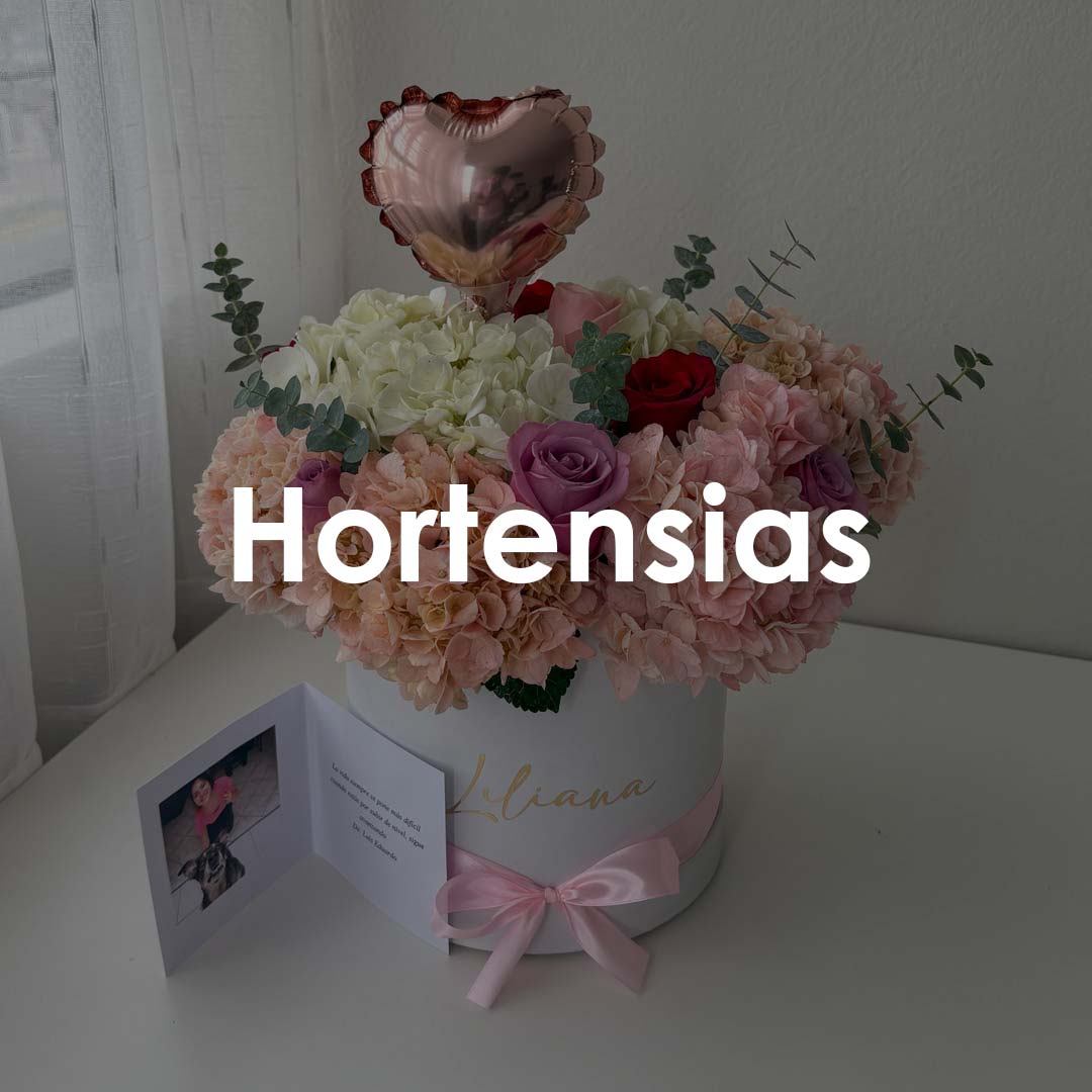 HORTENSIAS